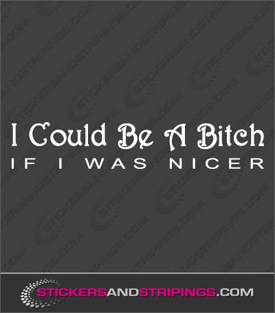 I could be a bitch (273)
