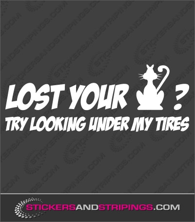 Lost your cat? (282)