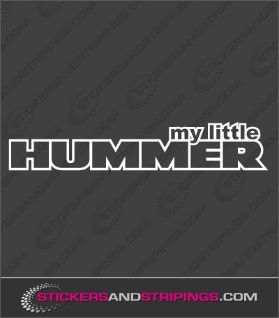 My little Hummer (9980)